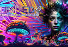 Roland Announces February Wrap2TheMax Design Competition Winners And Free Competition Entry Roland Announces February Wrap2TheMax Design Competition Winners And Free Competition Entry