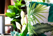 Sun Chemical Launches Pigment Ink For DTF Market Sun Chemical Launches Pigment Ink For DTF Market