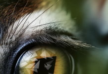 Agfa Unveiling New Inkjet Printing Systems Agfa Unveiling Two New Inkjet Printing Systems