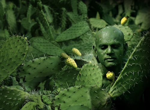 HEYtex Textiles To Be Showcased HEYtex Textiles To Be Showcased