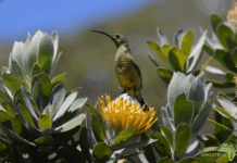 NUtec Reinforces Environmental Responsibility Through Carbon Footprint Reduction NUtec Digital Ink Reinforces Environmental Responsibility Through Carbon Footprint Reduction