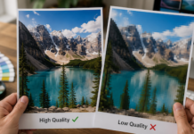 Factors That Could Impact Your Print Image Quality What Affects Image Quality That Is Often Overlooked?