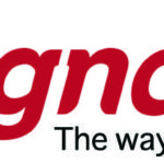 Graphic Designer & DTP Operator